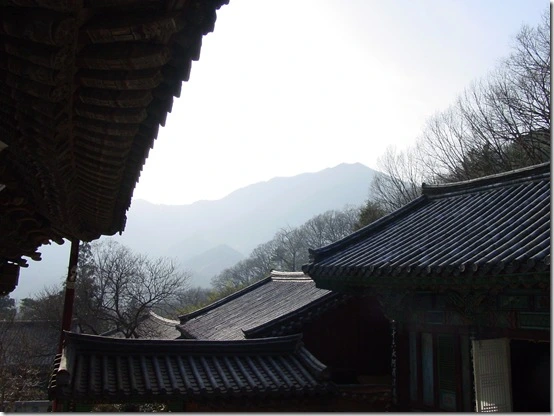 141B02524DF866931BFC85