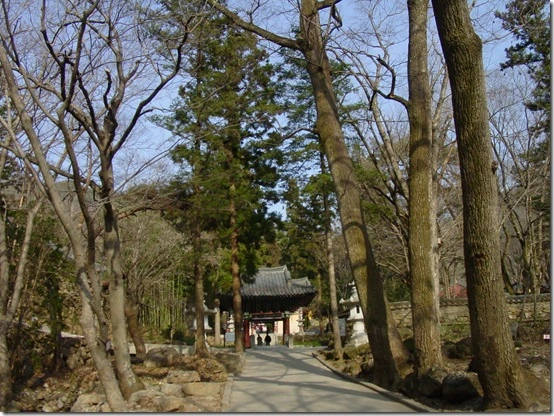 184BF24F4DF866941AAE96