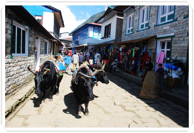 1326B9234C2AC9D24BC083