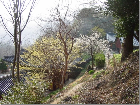 166CB6474DF8669D118250