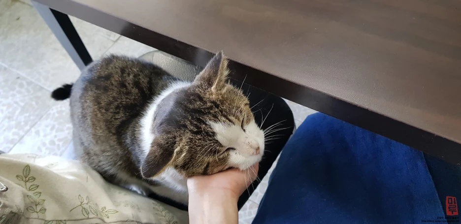 image_4529468151539872014292.jpg?type=w1