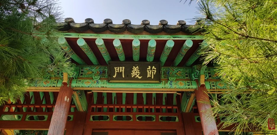 image_9623970621539872014294.jpg?type=w1