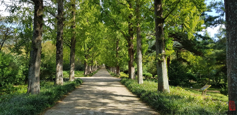 image_198176781539874914122.jpg?type=w1