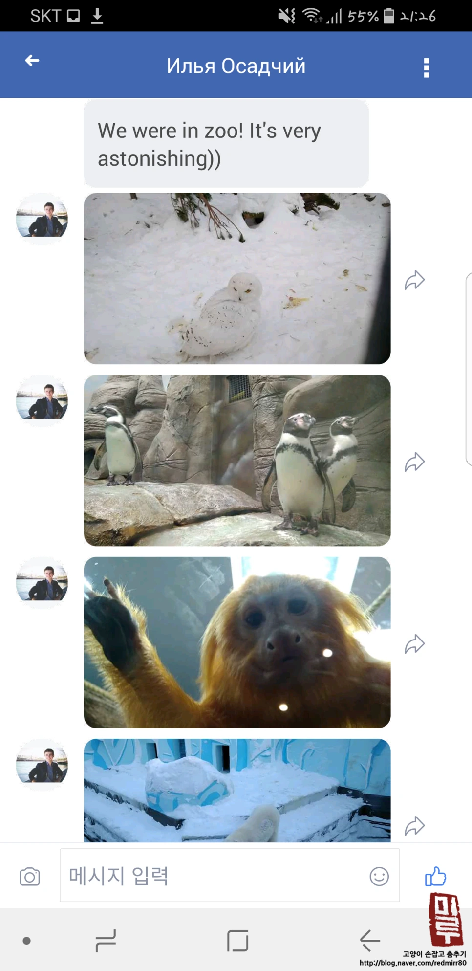 image_5919539451518784207799.png?type=w966