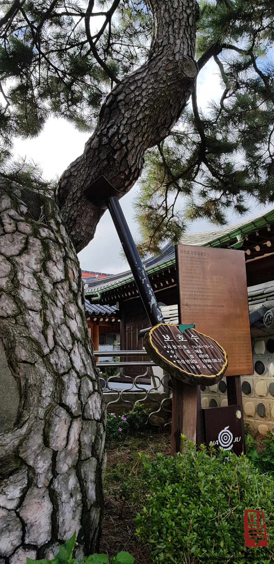 image_736830071539886782195.jpg?type=w1