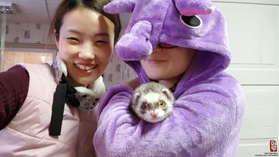 image_7490812981518543689756.jpg?type=w966