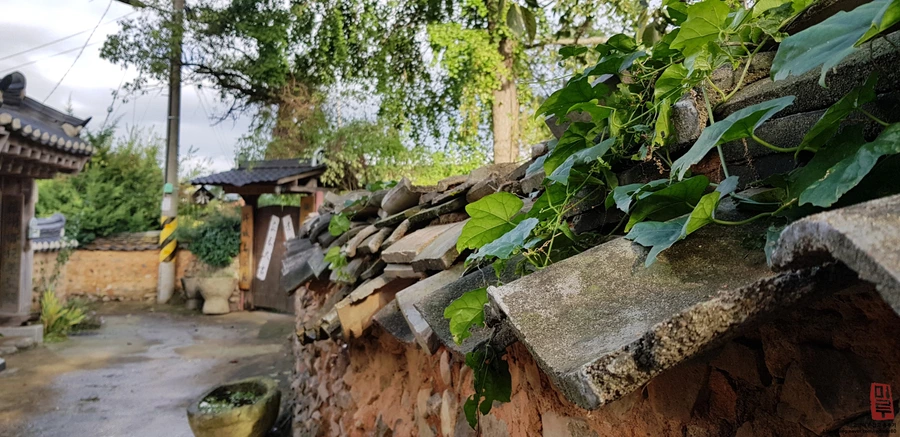 image_3965797971539874823648.jpg?type=w1