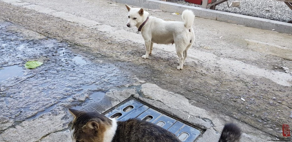 image_2174659861539872014292.jpg?type=w1