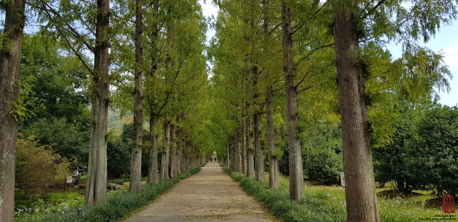 image_7785137321539872014300.jpg?type=w1