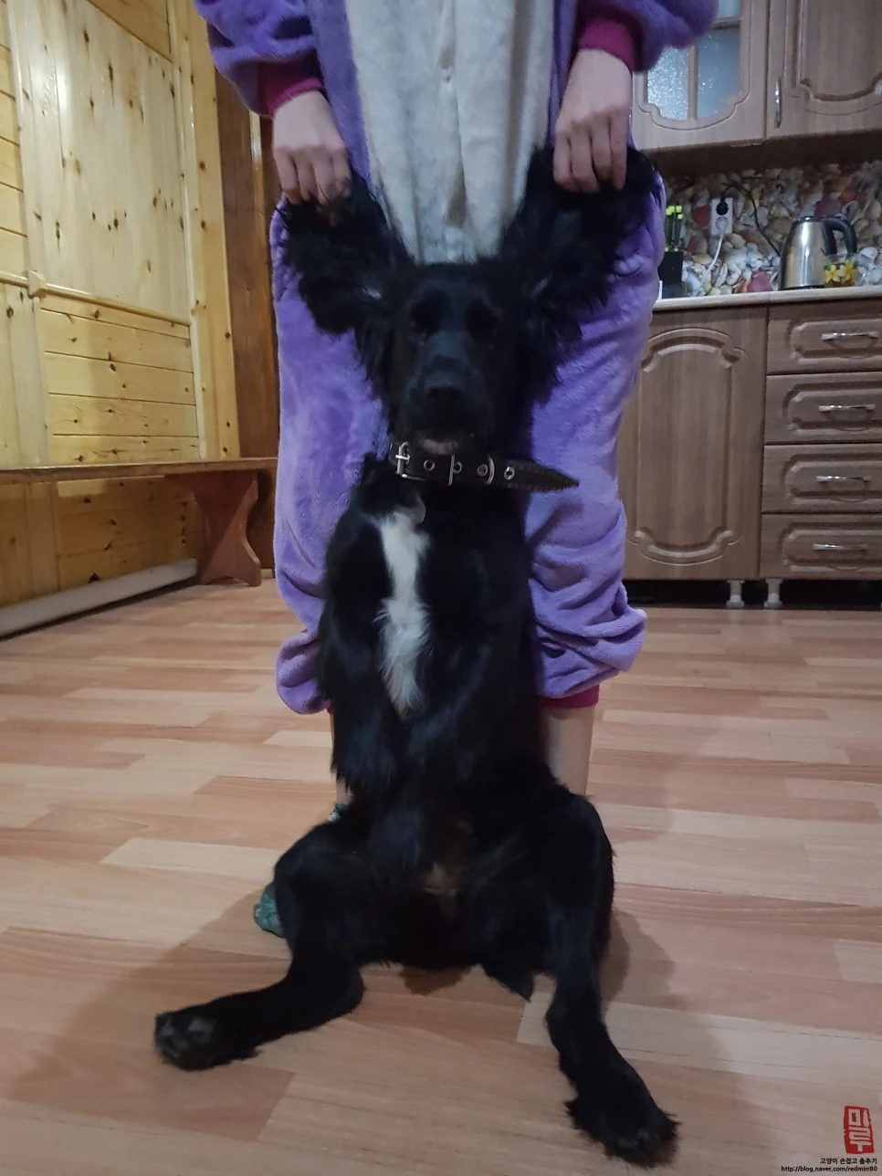 image_713888101518545076928.jpg?type=w966