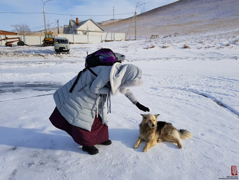 image_4037337341518536963343.jpg?type=w966