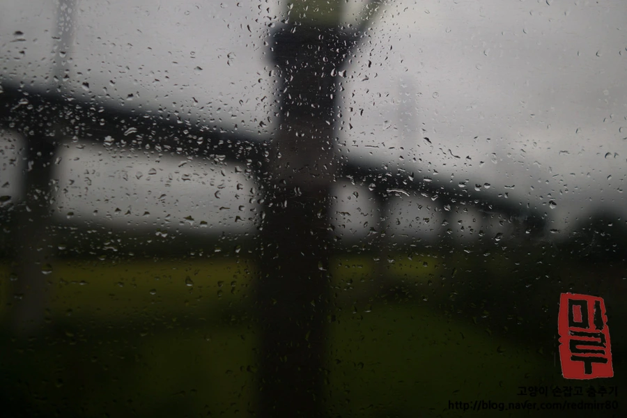 image_3965350141539882010517.jpg?type=w1