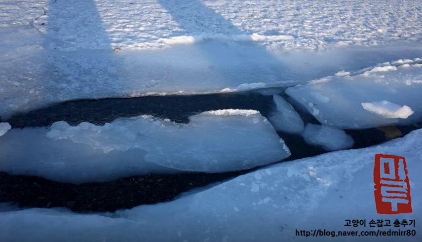 image_4444769831517679648333.jpg?type=w966