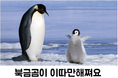 제목학원 (펭귄).PNG