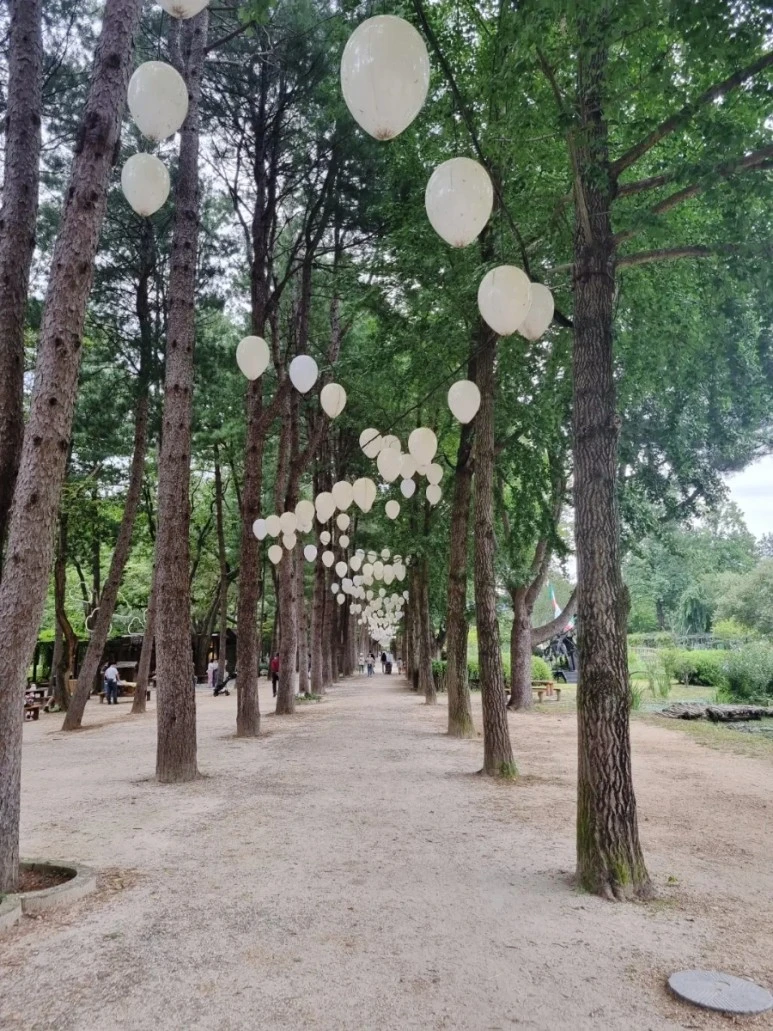 SE-a85dace7-3ba4-11ed-99eb-bddc5af3d684.jpg?type=w773