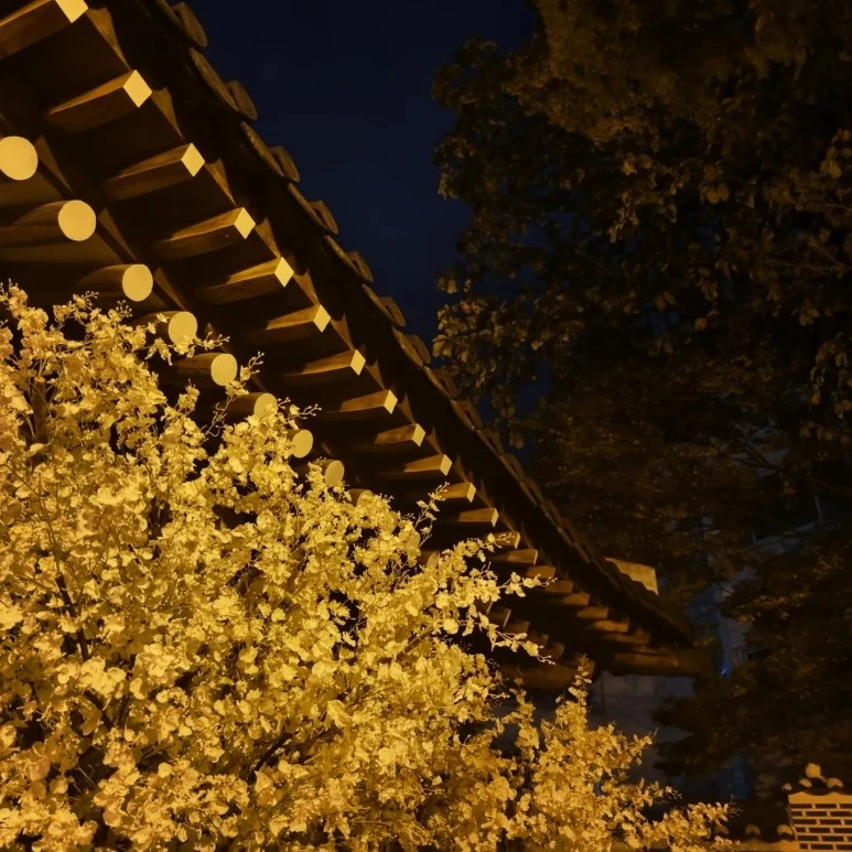 KakaoTalk_20221027_223152197_02.jpg?type=w773