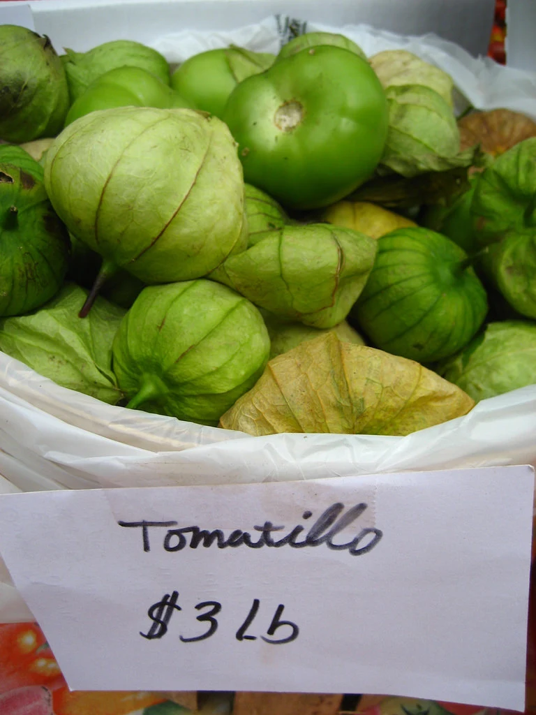 3817120309_ffc00f18fb_b.jpg?type=w966