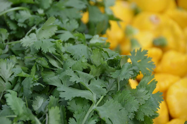 18828198343_0c4d0c3c65_z.jpg?type=w966