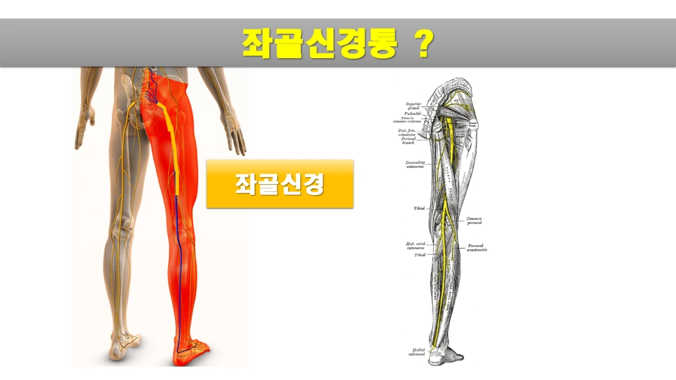 %EC%8A%AC%EB%9D%BC%EC%9D%B4%EB%93%9C4.PNG?type=w966