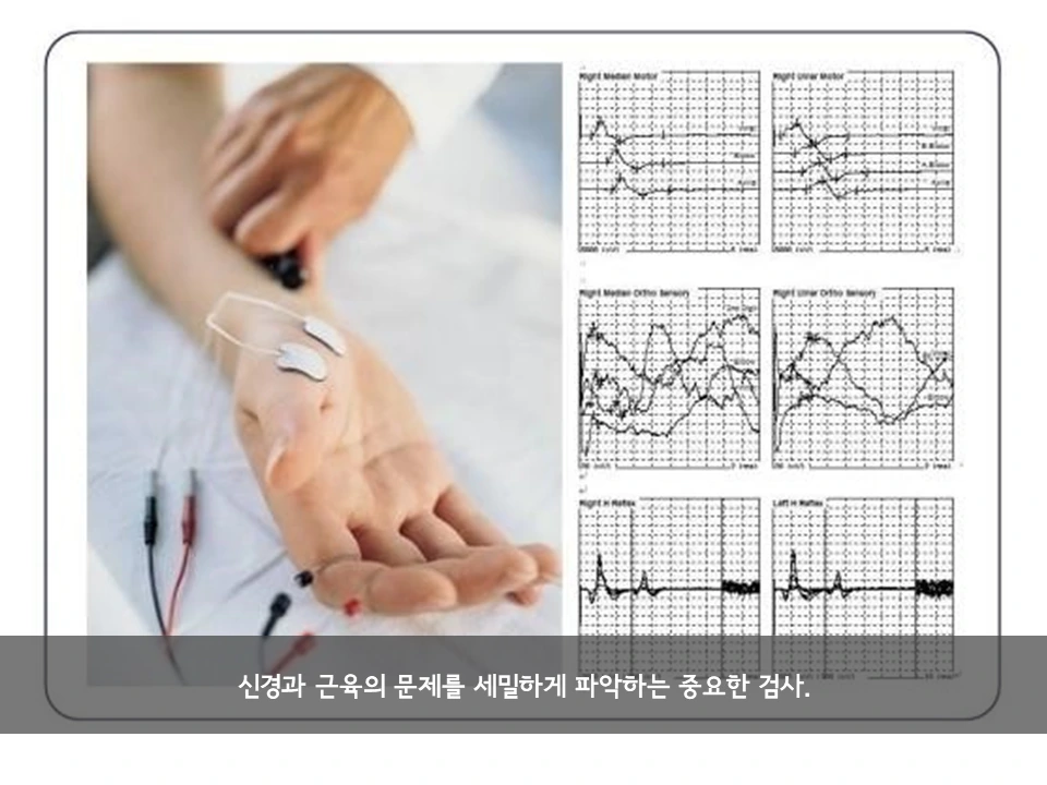 %EC%8A%AC%EB%9D%BC%EC%9D%B4%EB%93%9C2.PNG?type=w966