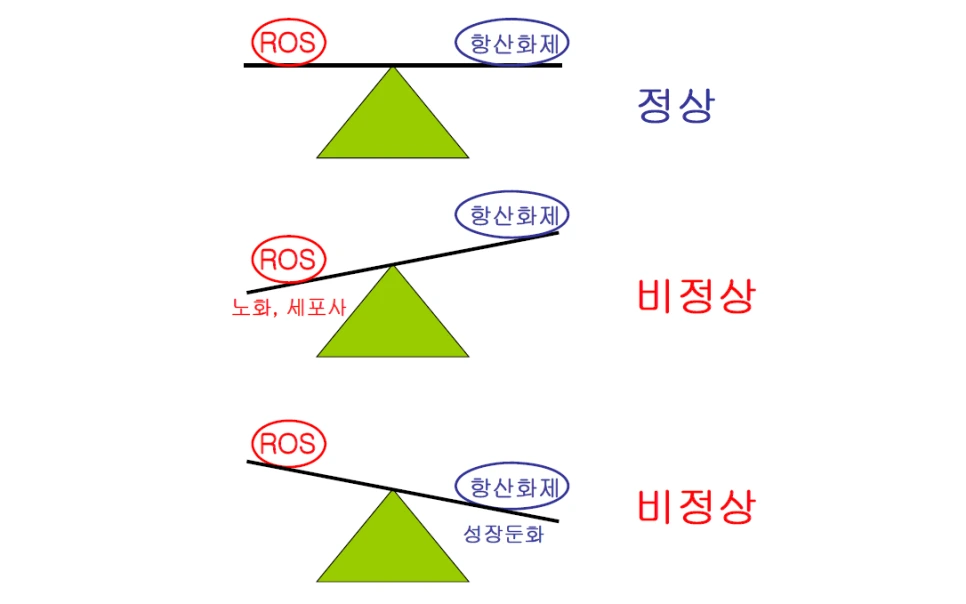 SE-32ece80c-53c4-4637-bbe5-8eaf8ac2cde7.png?type=w966