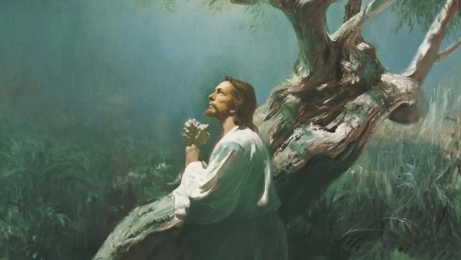 %EC%98%88%EC%88%98%EC%9D%98_%EA%B8%B0%EB%8F%84.jpg?type=w1