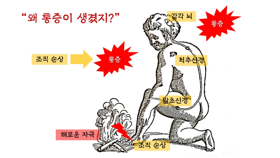 %EC%8A%AC%EB%9D%BC%EC%9D%B4%EB%93%9C16.PNG?type=w1