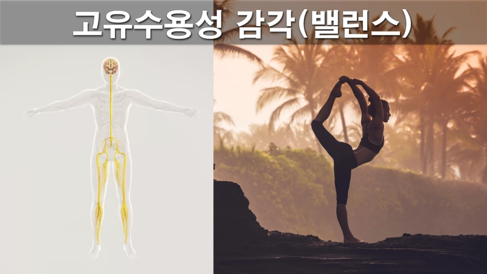 %EC%8A%AC%EB%9D%BC%EC%9D%B4%EB%93%9C39.PNG?type=w966