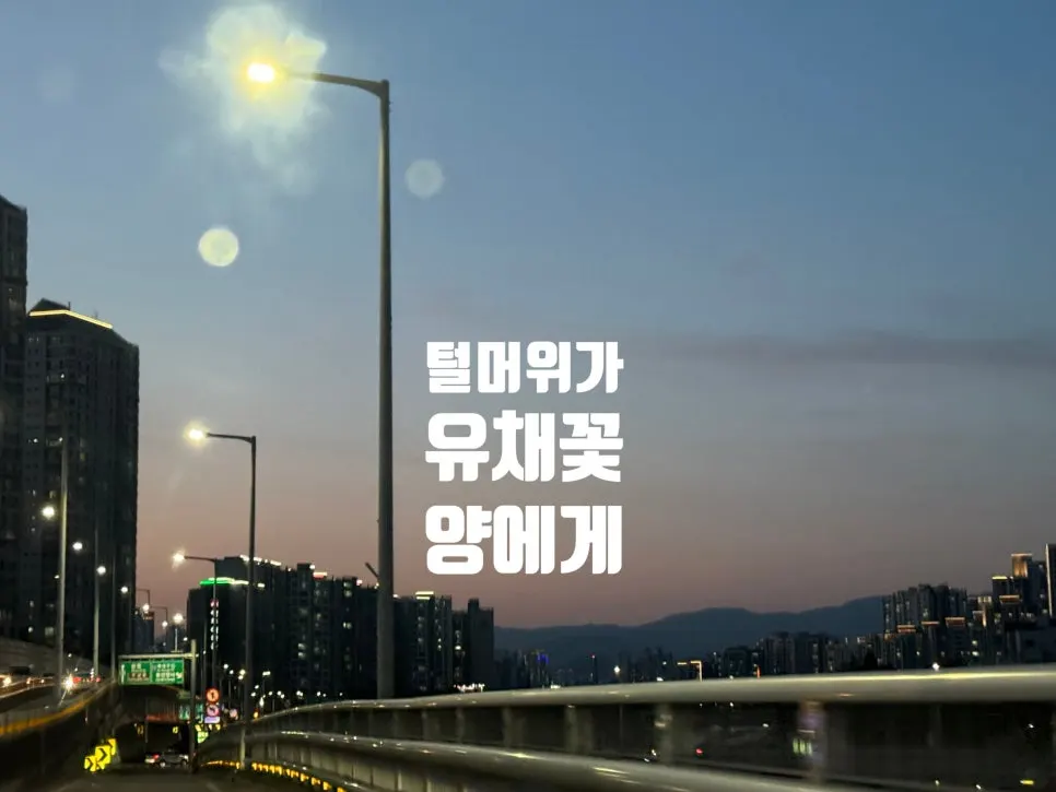 SE-6ba78e50-6674-488e-a2bb-982d33c63772.jpg?type=w966