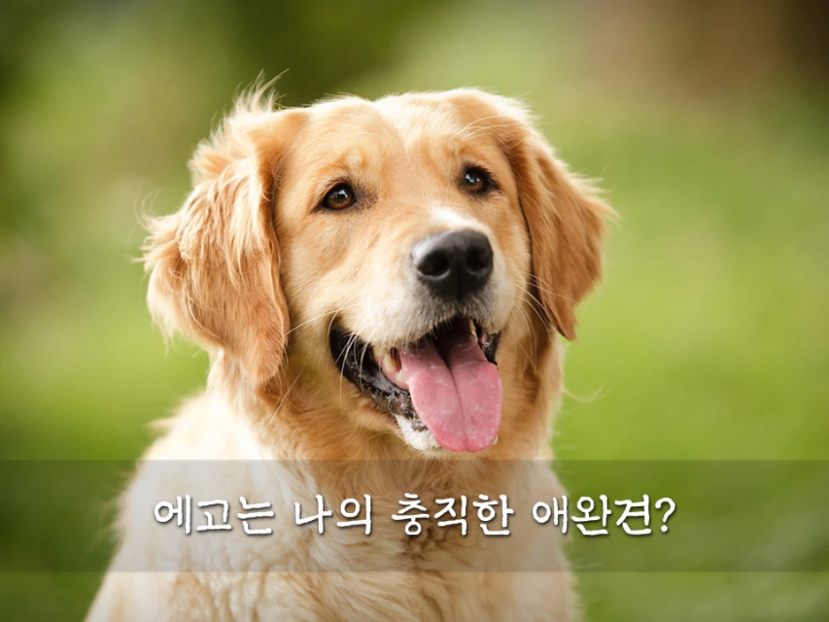 %EC%8A%AC%EB%9D%BC%EC%9D%B4%EB%93%9C9.PNG?type=w1