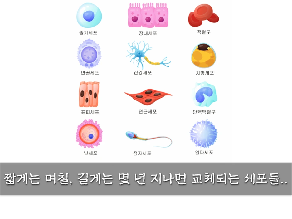 %EC%8A%AC%EB%9D%BC%EC%9D%B4%EB%93%9C10.PNG?type=w1