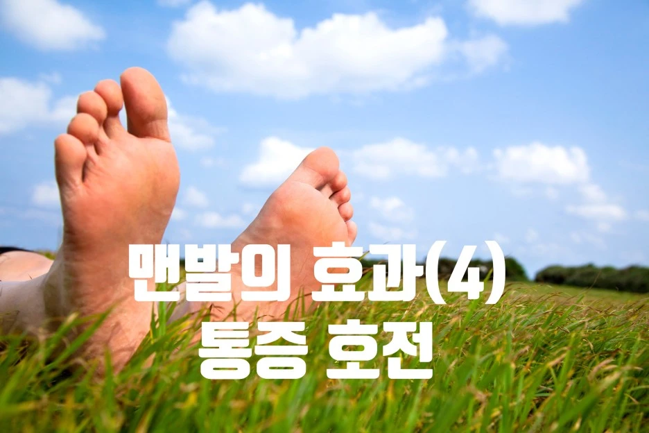 SE-20eea003-c6ad-4efa-bfec-b1c898314486.jpg?type=w1