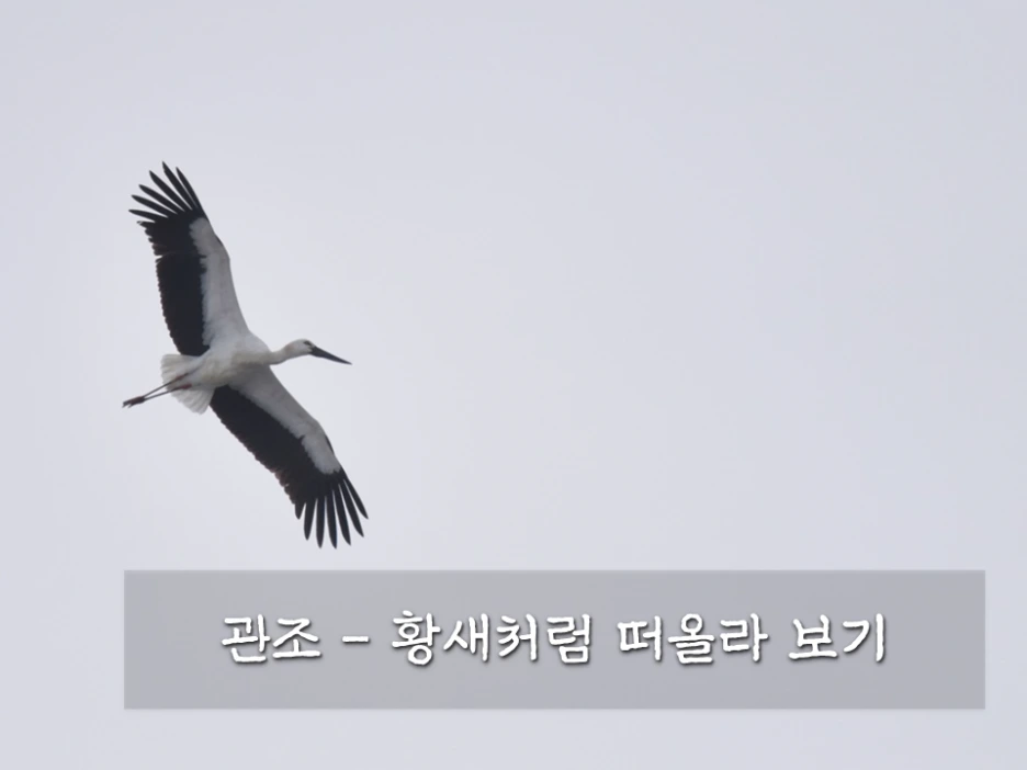 %EC%8A%AC%EB%9D%BC%EC%9D%B4%EB%93%9C3.PNG?type=w1