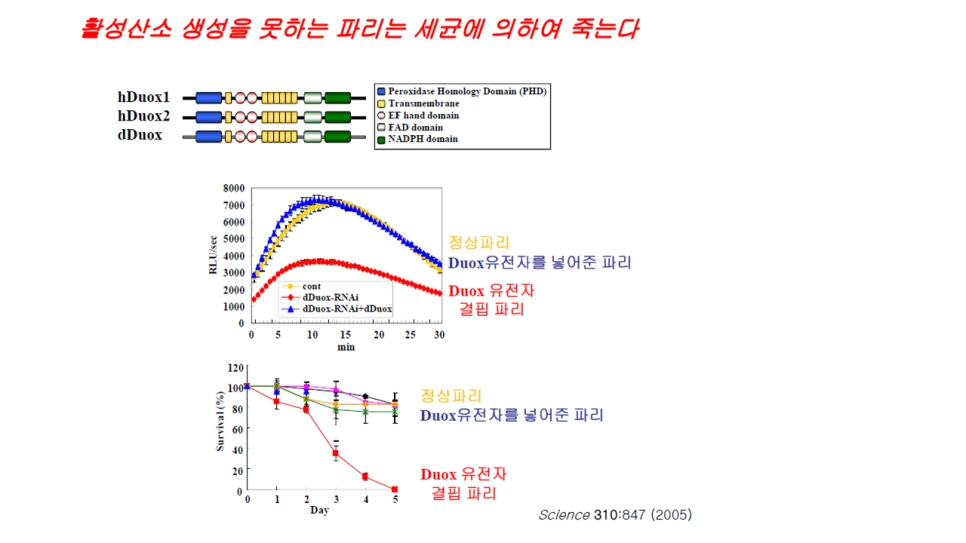 %EC%8A%AC%EB%9D%BC%EC%9D%B4%EB%93%9C33.PNG?type=w966