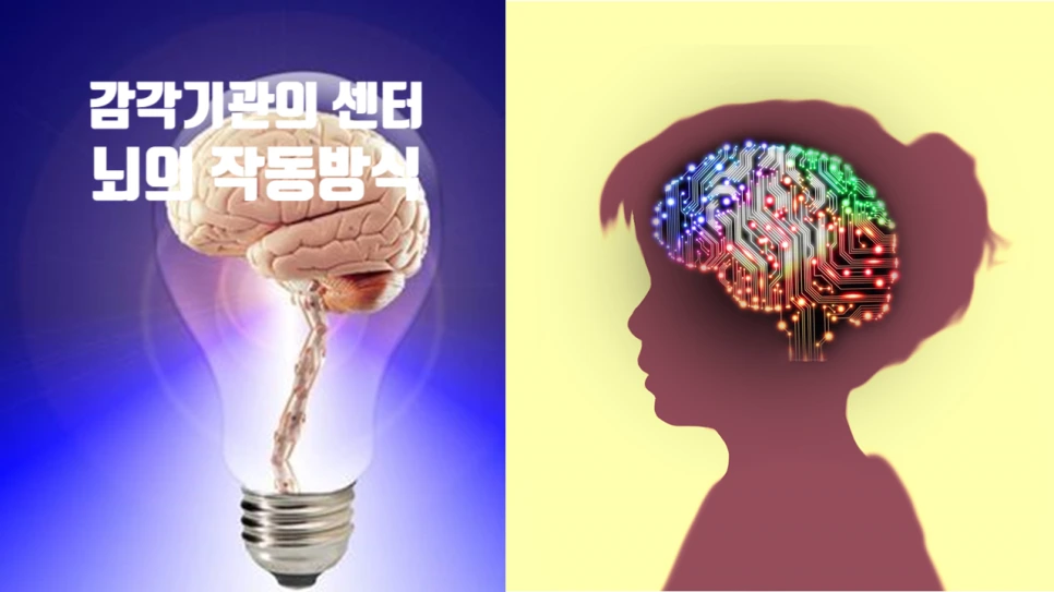 SE-3a483417-d82f-4130-ab7f-fb62e5f5bf77.png?type=w966