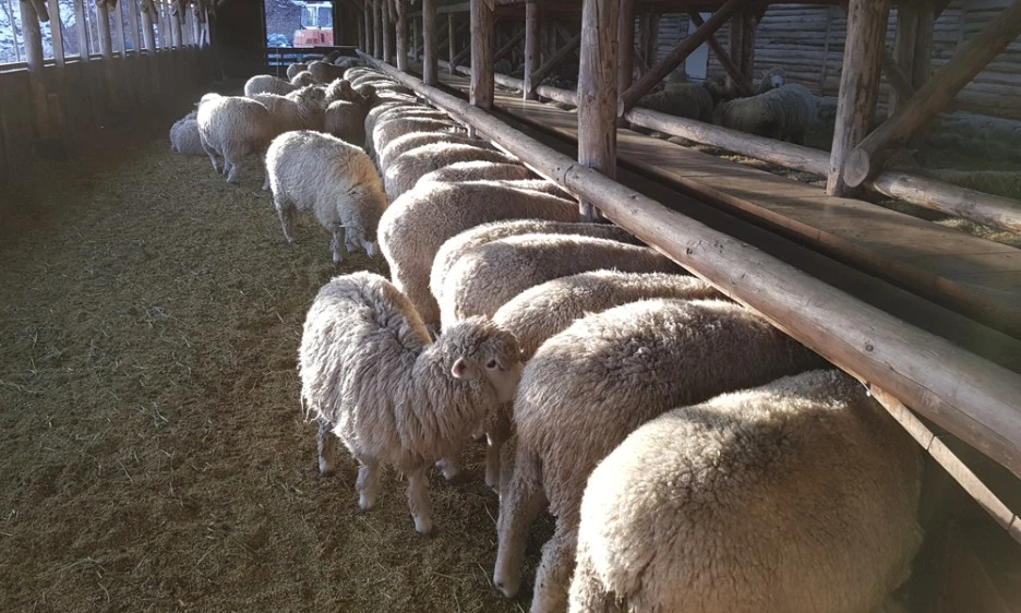 %EC%9A%B8%ED%83%80%EB%A6%AC-1.jpg?type=w1