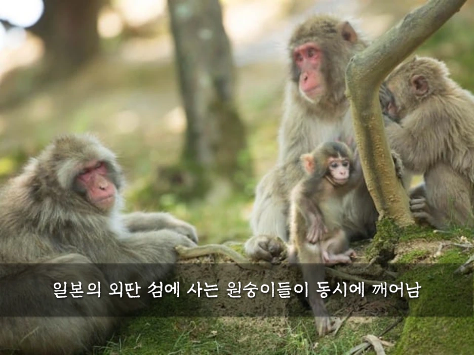 %EC%8A%AC%EB%9D%BC%EC%9D%B4%EB%93%9C7.PNG?type=w1