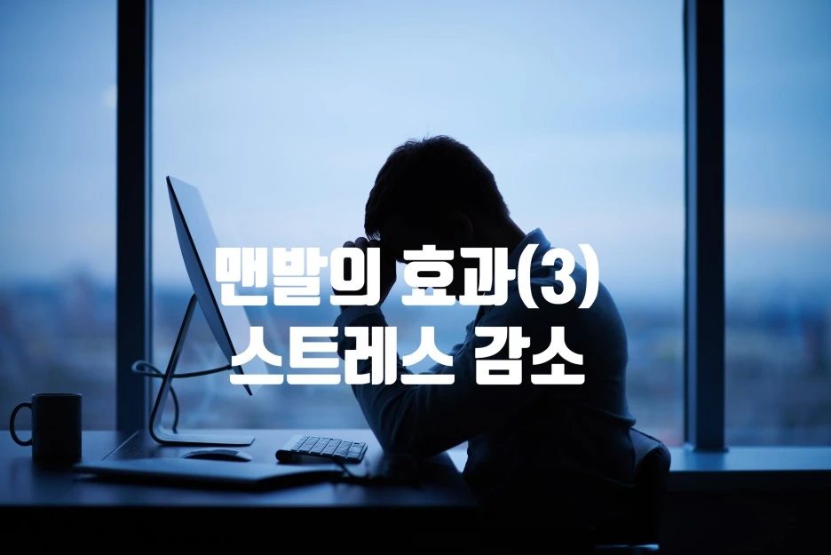 SE-a83c7fb6-9ce9-4d6f-977a-0ee23ef85204.jpg?type=w1