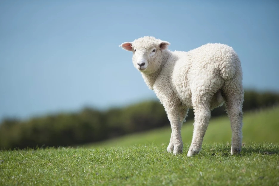 CK_tip004t126798.jpg?type=w1