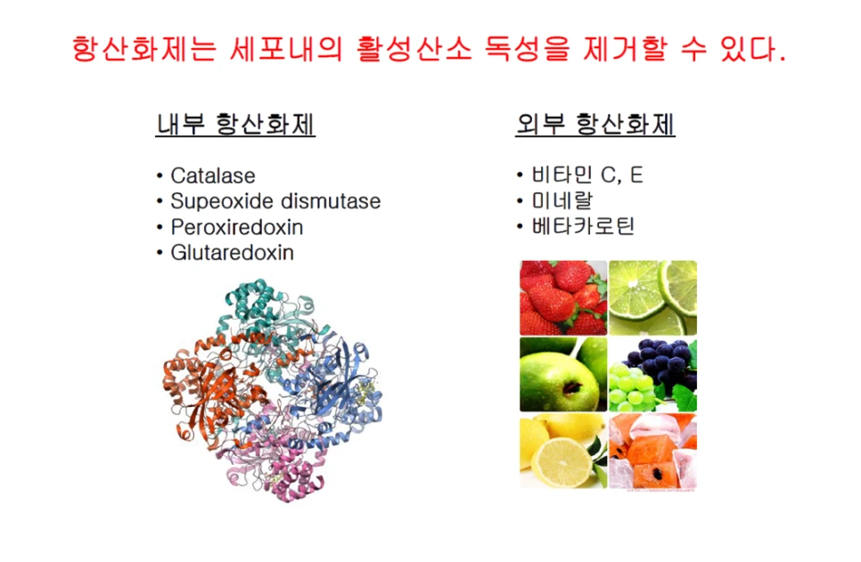 SE-5869c12a-d7fd-4e98-aa2a-36d93eb77b59.png?type=w966