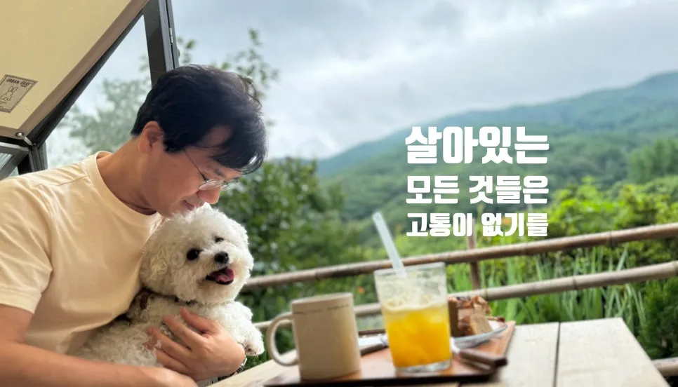 SE-3c8176fb-a680-43a8-9f77-f77d5485f96d.jpg?type=w966