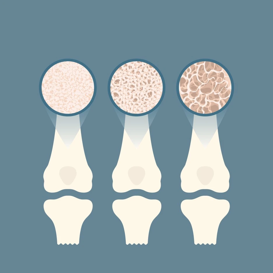 CK_pc0040573941.jpg?type=w1