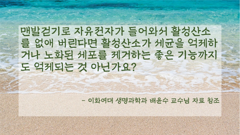 %EC%8A%AC%EB%9D%BC%EC%9D%B4%EB%93%9C11.PNG?type=w966