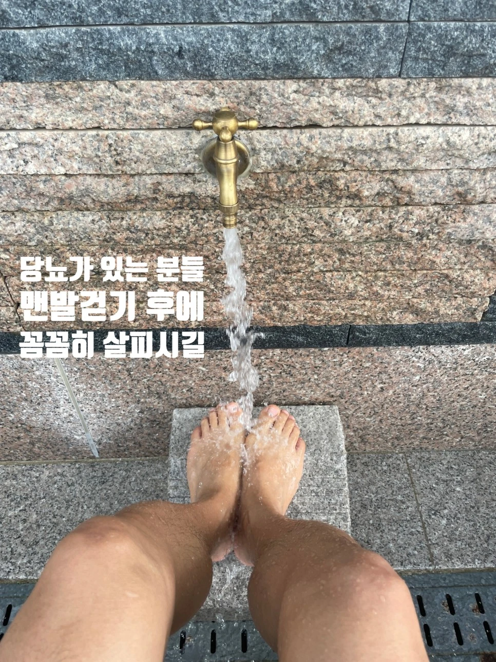 SE-fb4fef53-7c60-46b4-a192-40bd35dc3c77.jpg?type=w966