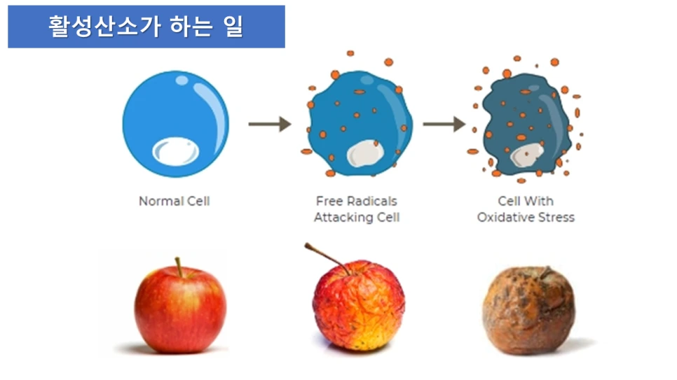 %EC%8A%AC%EB%9D%BC%EC%9D%B4%EB%93%9C16.PNG?type=w966