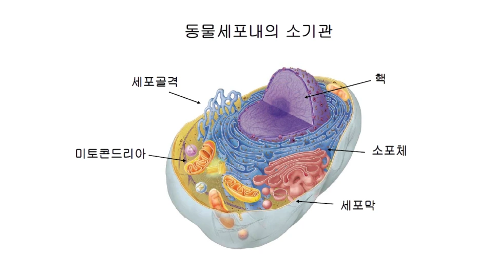 %EC%8A%AC%EB%9D%BC%EC%9D%B4%EB%93%9C22.PNG?type=w966