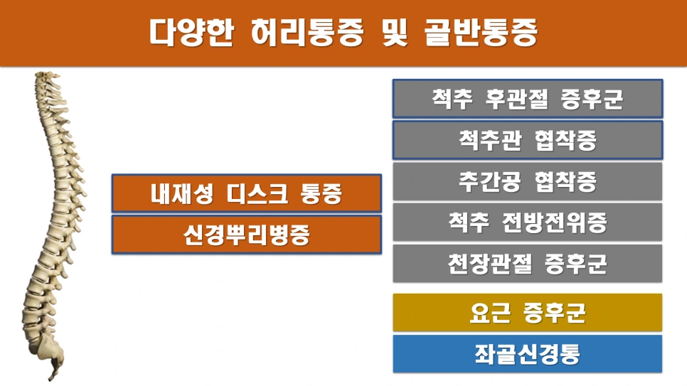 %EC%8A%AC%EB%9D%BC%EC%9D%B4%EB%93%9C2.PNG?type=w966