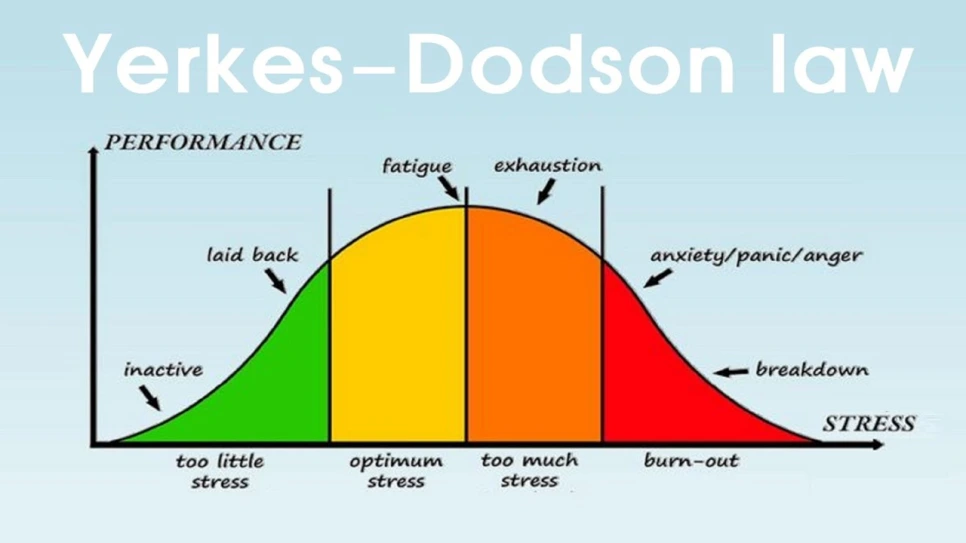 %EC%8A%AC%EB%9D%BC%EC%9D%B4%EB%93%9C39.PNG?type=w966