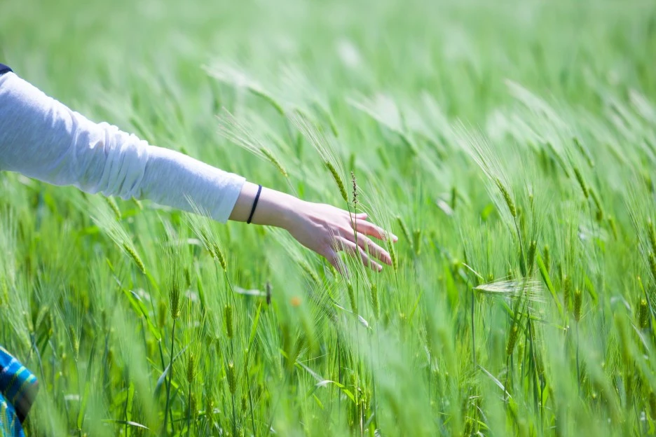 CK_cm27011551.jpg?type=w1