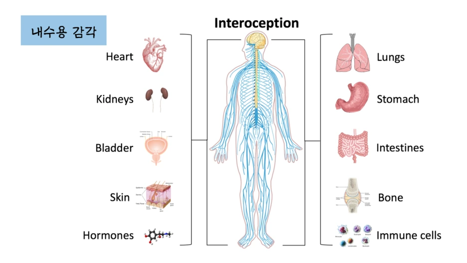 %EC%8A%AC%EB%9D%BC%EC%9D%B4%EB%93%9C19.PNG?type=w1